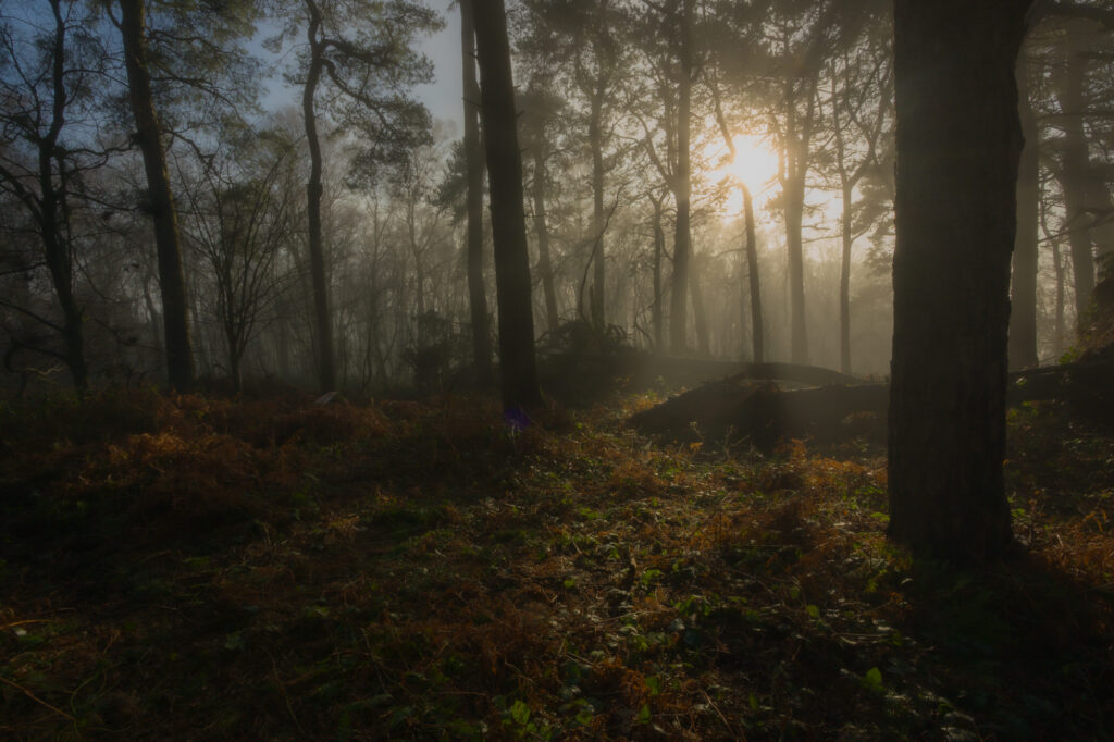 Ghosts of Armour, North Hill
