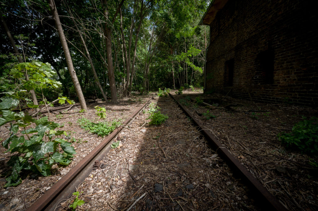 Overgrown railway tracks disappear into woodland beside the signial box at Platform 17, Berlin. From this place, thousands of Jews were deported during the Second World War to concentration camps. Nature now reclaims the line, yet the silence holds the weight of absence and memory.
